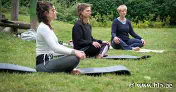 Vind rust en geluk tijdens de Parkenparade in Vilvoorde - Het Laatste Nieuws