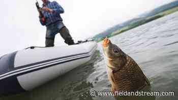 Why You Should Keep Carp, and How to Use Them - Field & Stream