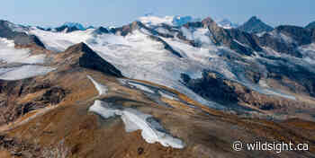 Farnham Glacier Hike – Wildsight - Wildsight