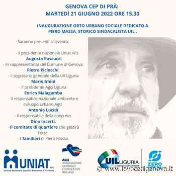 Orto urbano sociale al Cep di Pra dedicato a Piero Massa, martedì l'inaugurazione - LaVoceDiGenova.it