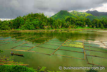 PHL now feeling impact of food crisis–DA chief | Jasper Y. Arcalas - BusinessMirror