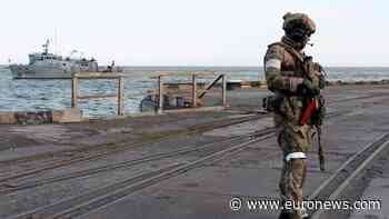 EU should arm Ukrainian ports to solve food crisis, Lithuania minister says - Euronews