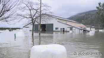 Abbotsford mayor discusses flood protection plan - Global News