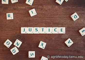 Social justice and military families webinar set for June 29 - AgriLife Today