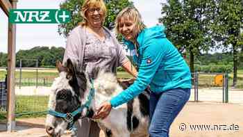 Was Unternehmer von Eseln in Hamminkeln lernen können - NRZ News