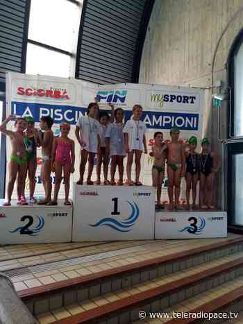 Rapallo Nuoto: medaglie d'oro per la 4×25 misti e nella 4×50 stile libero categoria C - Teleradiopace
