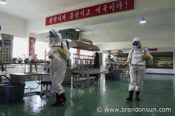 'It always wins': North Korea may declare COVID-19 victory - The Brandon Sun