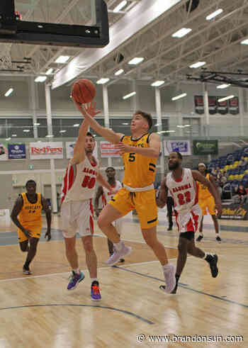 Bobcats to start, finish hoops season at home - The Brandon Sun