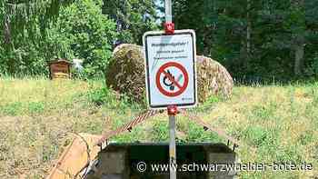 Unrat in Schramberg - Trotz Verbot: Unbekannte grillen und hinterlassen Sauerei - Schwarzwälder Bote