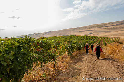 Advertorial: Entdecken Sie die Welt des Weins in Aserbaidschan