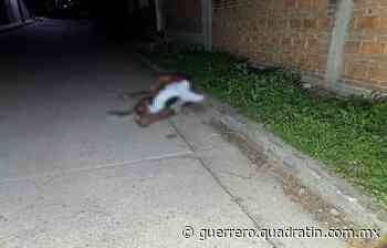 Asesinan a un hombre en la comunidad Santa Teresa de Iguala - Quadratin Guerrero