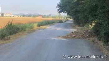 Badia Pozzeveri, Biagini (Fdi): "Ancora rifiuti abbandonati in via del Sesto" - Luccaindiretta - LuccaInDiretta