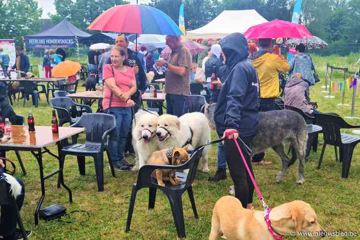 Ondanks de regen beleeft ‘Beestig Eeklo’ geslaagde eerste editie