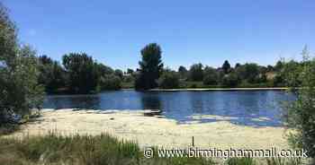 Dog dies after being bitten in Babbs Mill Park in Solihull - Birmingham Live