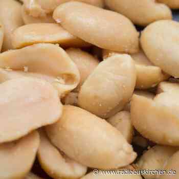 Reisen mit Erdnussallergie: Drei Tipps für die Vorbereitung - radioeuskirchen.de