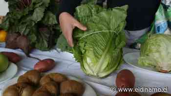 Estos son los alimentos de temporada más baratos en las ferias libres - El Dínamo