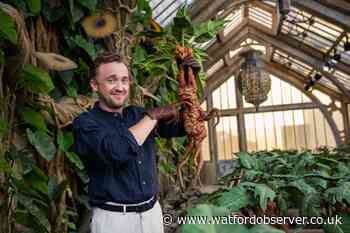 Harry Potter Warner Bros Studios: Tom Felton visits new Professor Sprout's Greenhouse