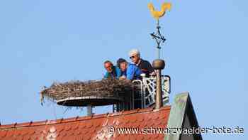 Vogelschutz in Sulz - Jungstorch in Mühlheim beringt - Schwarzwälder Bote