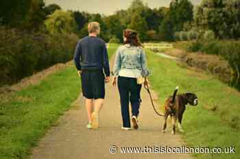 Warning to dog owners over toxic blue-green algae