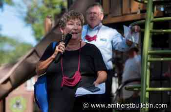 Amherst board OKs putting 2022 pot revenues toward reparations but balks at permanent allocation - Amherst Bulletin