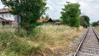 Bebauungsplan „Halfing Ost“ soll neu aufgestellt werden: das sind die Herausforderungen