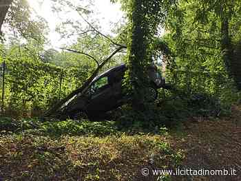 Incidente in via Meda a Monza: auto fuori strada e contro un albero, i testimoni - Il Cittadino di Monza e Brianza
