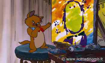 Coccole a Monza per i gatti bisbetici - Il Cittadino di Monza e Brianza