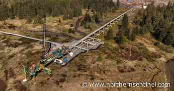 Trestle bridge under construction on LNG Site - Kitimat Northern Sentinel