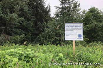 Kitimat council sets funding for Quatsino daycare - Kitimat Northern Sentinel