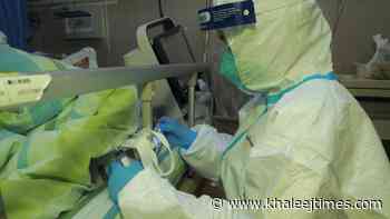 Coronavirus: UAE reports 1,556 Covid-19 cases, 1,490 recoveries, no deaths - Khaleej Times