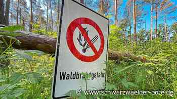 Trockenheit im Kreis Calw: Landratsamt warnt vor andauernder Waldbrandgefahr