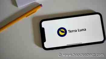 Krypto-Branche: BIZ: Stablecoins-Verfall legte Schwächen solcher Digitalwährungen offen