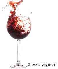 Torna la Festa del Vino a Monfalcone Degustazione Sotto al Campanile a Monfalcone e dintorni - Virgilio