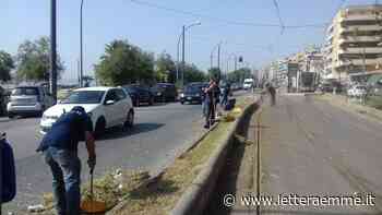 Messina, i divieti di sosta per consentire gli interventi di scerbatura - Lettera Emme