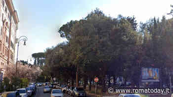 Prati, albero cade su auto in sosta