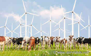 Making a difference on the sustainability front