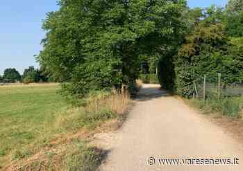 Alla Boschina di Gallarate viene rinnovata la strada bianca - varesenews.it