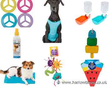 Pets at Home releases summer range for keeping cool and fun in the sun