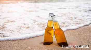 Mallorca: Die Sauftouristen sind zurück