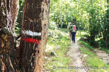 New hiking trail follows historic transhumance routes of Provence - The Connexion