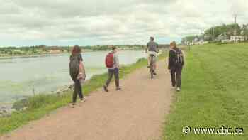 New trail to Greenwich will make ride safer for cyclists - CBC.ca