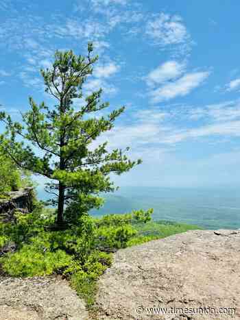Tackling the 23-mile Escarpment Trail in the Catskills - Times Union