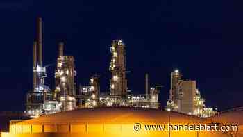 Märkte: Diese vier Branchen und ETF könnten Anlegern jetzt Sicherheit bieten