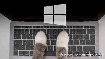 Katzenschutz für Windows: Tuning-Tool bietet Skurriles