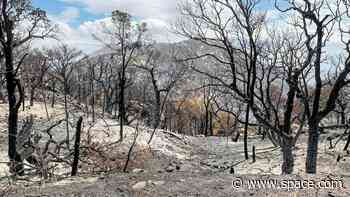 Kitt Peak telescopes remain standing after Arizona wildfire claims at least 4 buildings on site