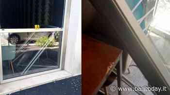 Furti con spaccata in centro a Bari, vetrata infranta per svuotare la cassa: colpi in due locali - BariToday