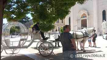 Bari, in piazza Redentore matrimonio "reale": carrozza con cavalli bianchi, trombettieri e lancio di colombe - La Repubblica