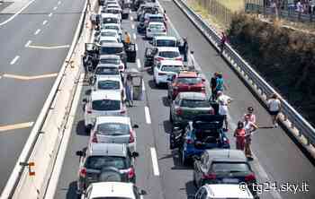 Maxi incidente sulla statale 16, quattro feriti nel Barese - Sky Tg24