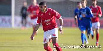 Calciomercato Bari, colpo Cheddira. Mallamo verso il ritorno - Corriere dello Sport