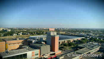 Lo stabilimento Peroni di Bari investe sull'energia green: 600 metri quadri di collettori solari per ridurre le emissioni di Co2 - BariToday